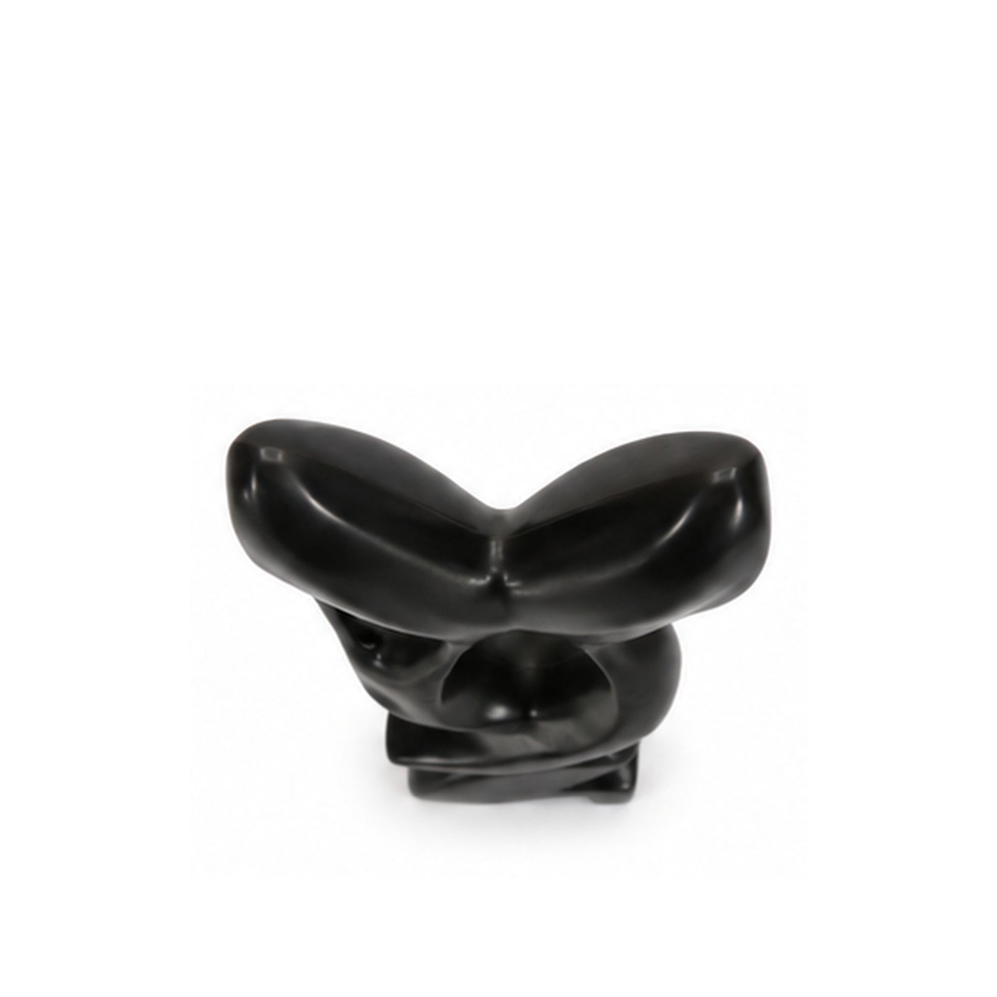 A small abstract black sculptural object with a glossy finish, photographed against a plain white background.